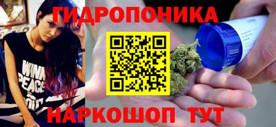 скорость Новозыбков